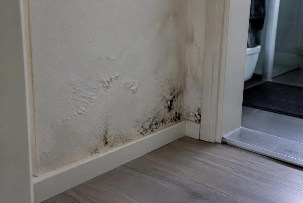 Lekdetectie Uithoorn – vochtplek met schimmel op een muur